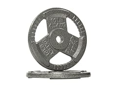 Fitvids Cast Iron Plate Weight Plate– 10LB (Pair)