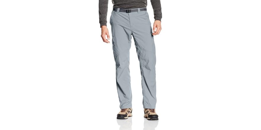 Men's Silver Ridge Big & Tall Cargo Pants