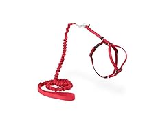 PetSafe Come With Me Kitty Harness and Bungee Leash