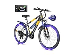 Multijoy EB263 Electric Bike for Adults