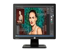 HP 17" ProDisplay P17A Monitor