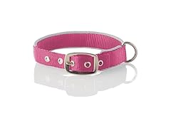 Pet Passion Adjustable Silver Trimmed Dog Collar