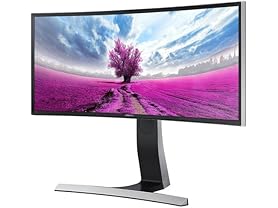 Samsung 29" Curved WFHD LED-Lit Monitor