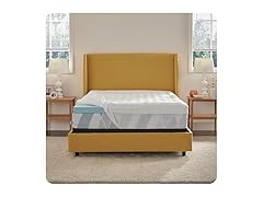 Sealy Dreamlife 3” Gel Memory Foam Topper