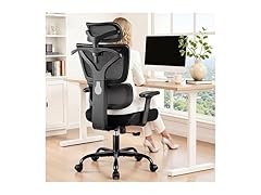 Ergonomic Office Chair High Back Desk Chair with Lumbar Supp (Open Box)