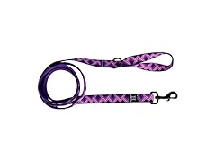 Hamilton 6 Foot Nylon Dog Leash, 1 Inch Wide