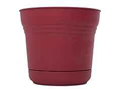 10" Saturn Planter Union Red