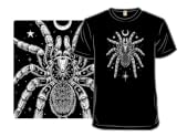 Nocturnal Tarantula