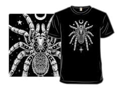 Nocturnal Tarantula