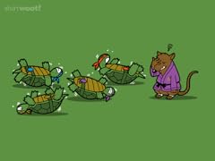 Turtle Training