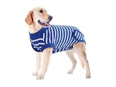 IDOMIK Dog Recovery Suit