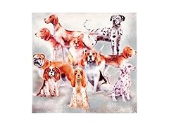 47th & Main Cloth Napkins Set of 4