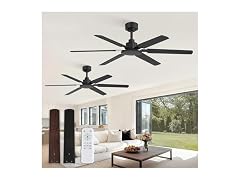 Fanbulous Black 48” Ceiling Fan with Lights
