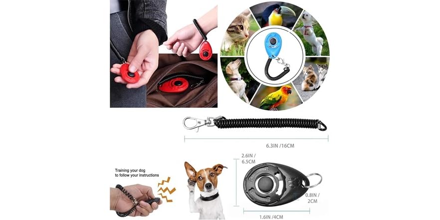 To Teach Clicker Training For Barking Clicker Training How To Get