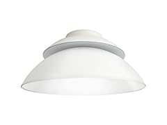 Philips Hue Beyond Ceiling Light
