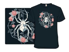 Geometric Spider