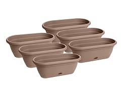 18" Lucca Window Box Curated, 6 pack