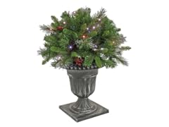 24" Crestwood Spruce Bush-50 Multi Light