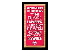 Detroit Pistons 9.5" x 19" Sign
