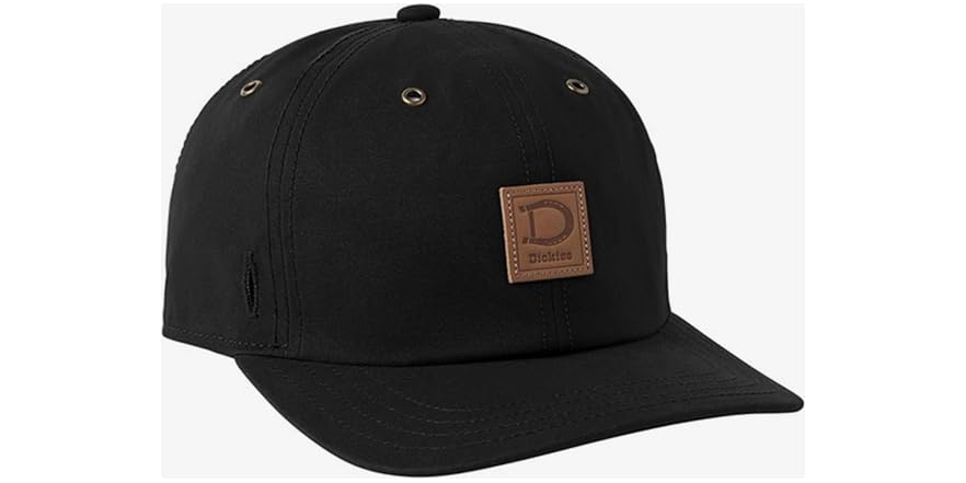 Dickies Roomy Cap in Brown Duck
