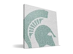 Michigan State Spartans