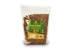 DIIG Non-GMO Dried Mealworms - Treats for Birds