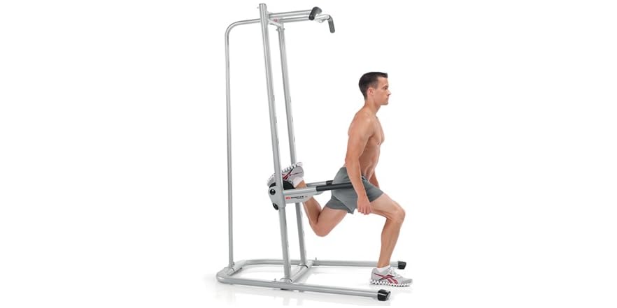 Bowflex BodyTower