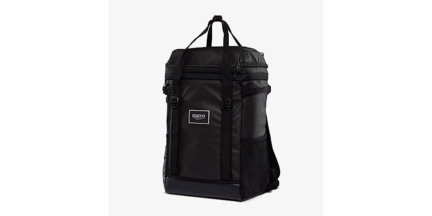 Igloo Luxe Dual Compartment Cooler Backpack - Cognac - Home & Living