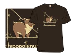 Hypotenuse