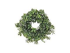 National Tree Company 16" Fern Wreath