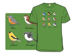 Songbirds of North America