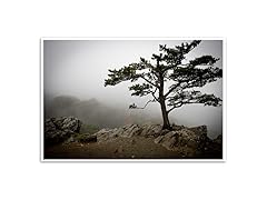 Foggy Tree - Blue Ridge Parkway, Virginia