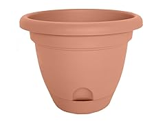 12" Lucca Planter Terra Cotta