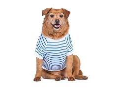 Dodo Extra Small Dog T-Shirt: Blue & White Striped, XS