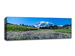 Wildflowers at Mt Rainier National Park