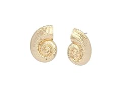Steve Madden Women Jewelry Women's Conch Earrings