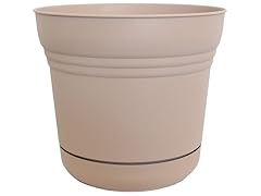 14" Saturn Planter 6 pk Craftsmen