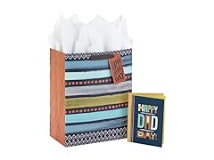 Hallmark 13" Gift Bag w/Card for Dad