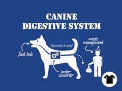 Canine Biology, Explained