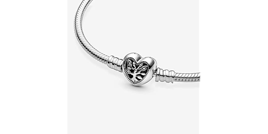 Pandora 598827C01-21 21cm, 8.3 inches Moments Famil (Open Box)