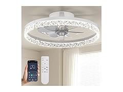 Passky 20” Low Profile Ceiling Fan with Lights and Remote