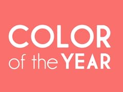 Vote in This Week's Derby Contest