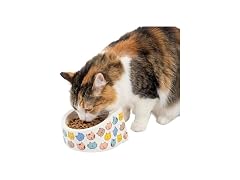 Kitty City Elevated Melamine Cat Bowl- Colorful Cats