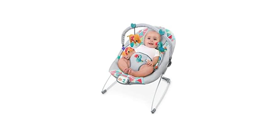 Bright Starts Baby Bouncer Toucan