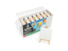 ARTEZA Mini Canvases for Painting
