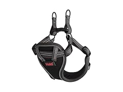HALTI Anatomy Puppy Harness - Provides Y
