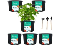LYKOCLEAN LYKO 300+ Seeds