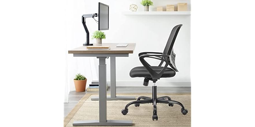 Ergonomic Office Chair w/ Lumbar Support