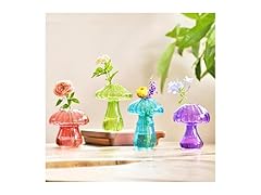 4 Pack Mushroom Glass Plant Terrarium
