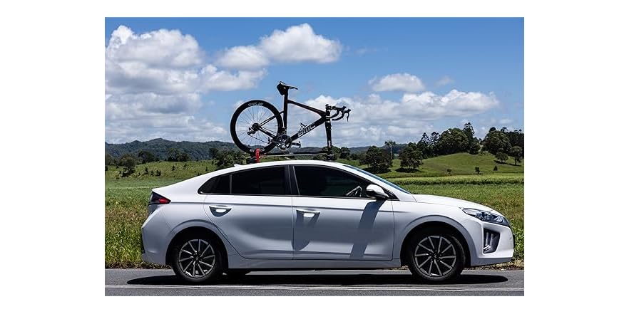 Allen Smart Suction™ Roof Mount 1-Bike Rack